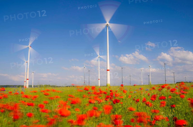 Wind farm, field with flower strips, insect-friendly border of fields with mixed flowers, poppies, north of Marsberg, Hochsauerlandkreis, North Rhine-Westphalia, Germany, Europe