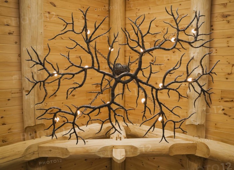 Illuminated deer antlers chandelier hanging from high cathedral knotty pine wood planks ceiling, plus large bleached beams with tenon and mortise joints above living room inside handcrafted Eastern white pine Scandinavian log cabin home, Quebec, Canada, North America