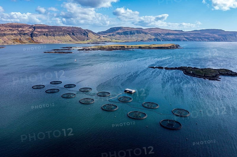 Floating cages of a salmon farm, sea between Isle of Ulva and Isle of Mull, aerial view, Scotland, UK
