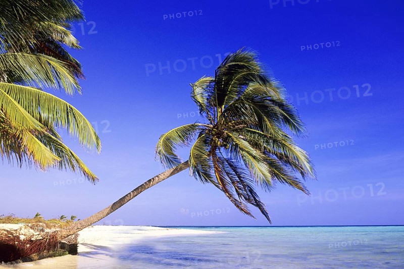 Caribbean, Caribbean, Belize, Belize, Central America