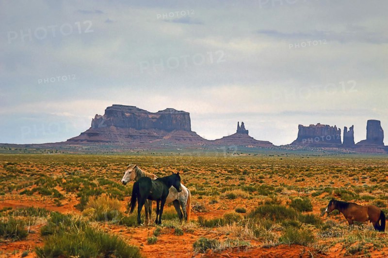 Monument Valley, Navajo Land, Colorado Plateau, under Navajo administration, Utah, USA, North America