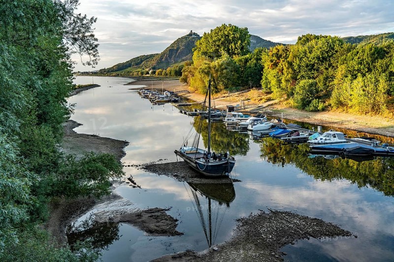 The Rhine at extremely low water, near Bad Honnef Rhöndorf, below the Drachenfels, the historic Rhine ship, Aalschokker Aranka, in the Old Rhine arm, on the island of Grafenwerth, dry banks of the Rhine, North Rhine-Westphalia, Germany, Europe