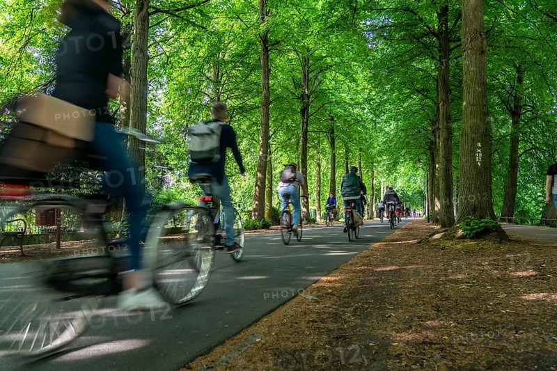 Promenade cycle path, tree-lined, car-free, approximately 4.5 km long ring road around the city centre of Münster, North Rhine-Westphalia, Germany, Europe