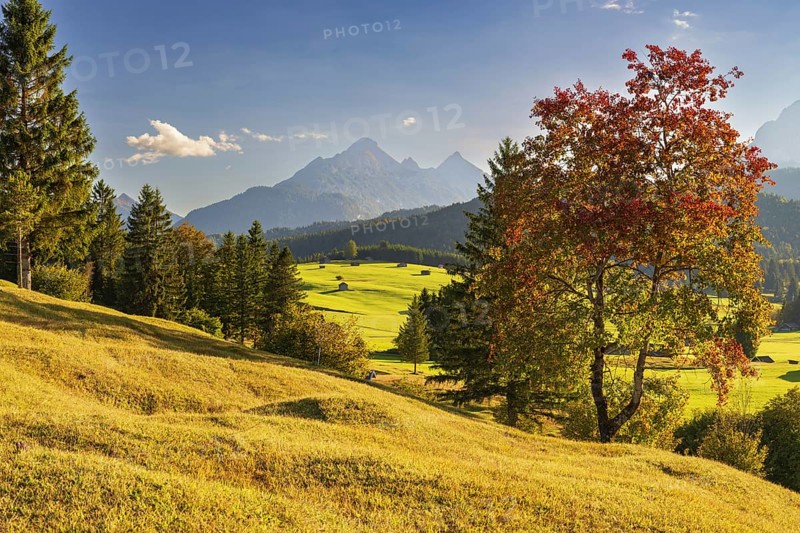 Hummock meadows between Mittenwald and Krün, Werdenfelser Land, with the Wetterstein Mountains behind, Upper Bavaria, Bavaria, Germany, Europe