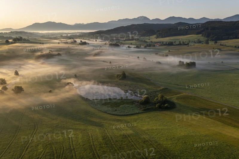 Aerial view of a lake in front of mountains in summer, morning light, view of Benediktenwand, Alpine foothills, Bavaria, Germany, Europe
