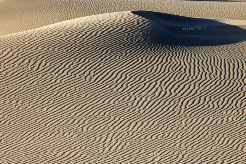 Maspalomas Dunes nature reserve, sand dunes in the evening light, Las Palmas province, Gran Canaria, Canary Islands, Spain, Europe