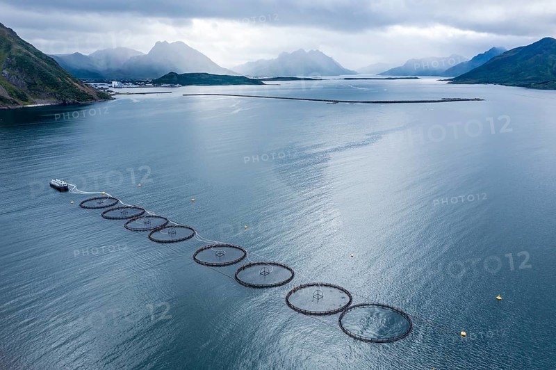Aerial view of a salmon farm, rainy weather, grey sky, village Myre in the back, Vesteralen islands, Norway, Europe