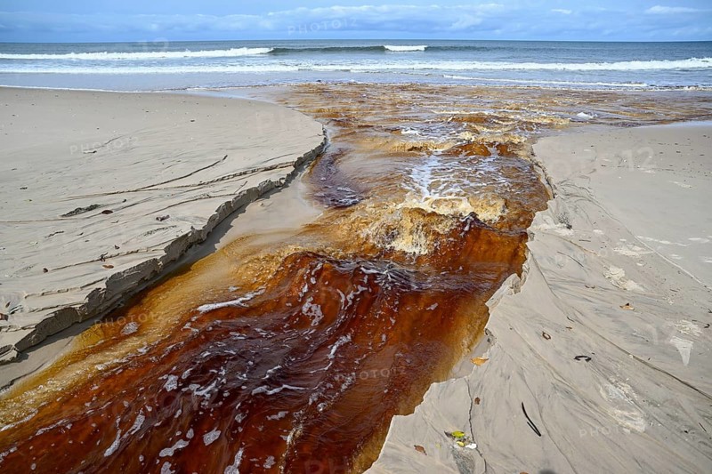 Tannic water from the Congo Basin flows into the sea, Petit Loango, Loango National Park, Parc National de Loango, Ogooué-Maritime Province, Gabon, Africa