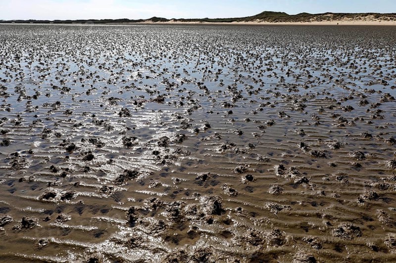 Mudflats on the island of Amrum, Norddorf, 16.06.2020