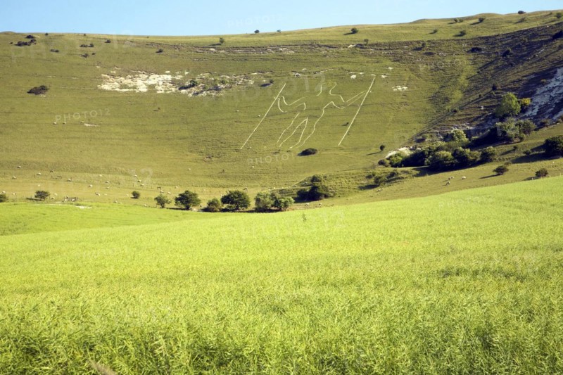 Prehistoric image in chalk hillside, The Long Man of Wilmington, East Sussex, England, United Kingdom, Europe