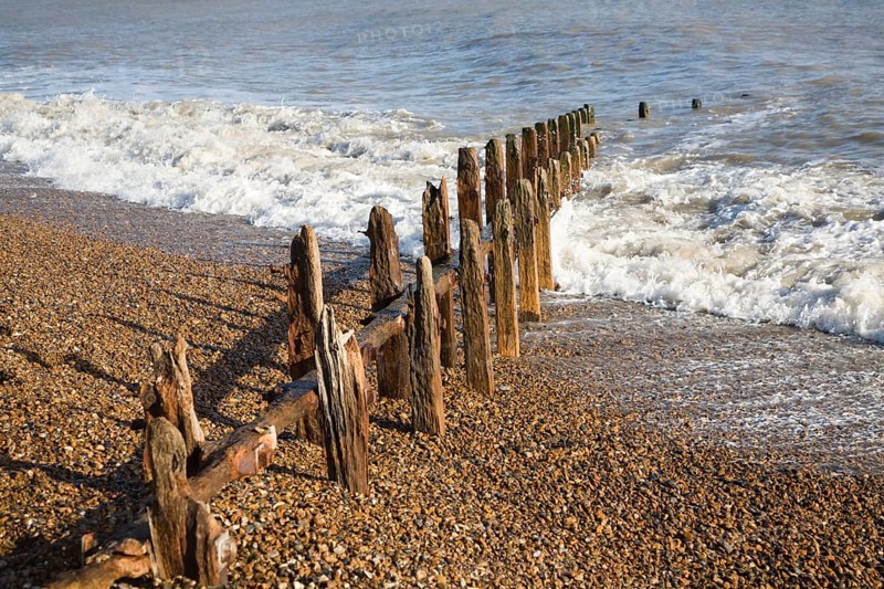 Old broken and abandoned wooden groynes on shingle beach, Bawdsey, Suffolk, England, United Kingdom, Europe