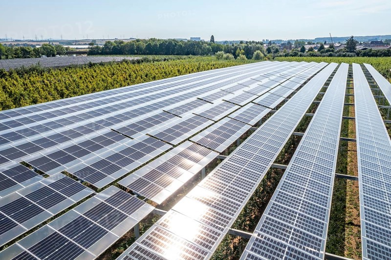 Agri-photovoltaic test plant, an apple orchard with two different systems of PV modules was roofed over 3000 square metres, rain and sunlight comes through, at the same time protection against hail and heavy rain, next to it are the same trees but without a solar roof, as a comparison object, how the PV roof affects the trees and harvest, the field test is accompanied by the Fraunhofer Institute for Solar Energy Systems ISE, in Grafschaft-Gelsdorf, Rhineland-Palatinate, Germany, Europe