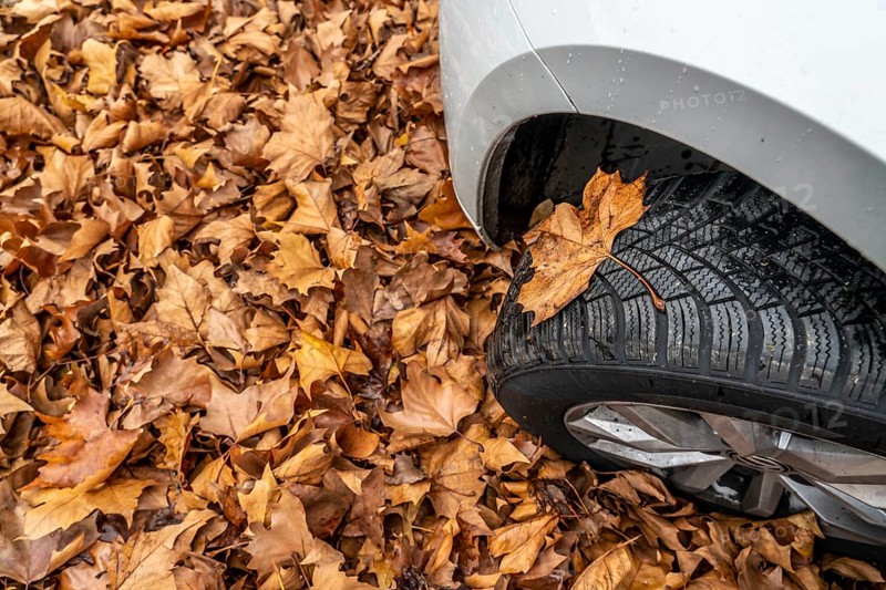 Driving on autumn leaves, slippery surfaces, leaves, grip from winter tyres