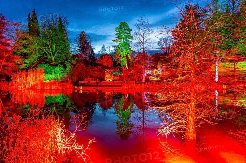Parkleuchten, event in winter, in the Grugapark in Essen, many different light installations, across the park, attract many thousands of visitors, North Rhine-Westphalia, Germany, Europe