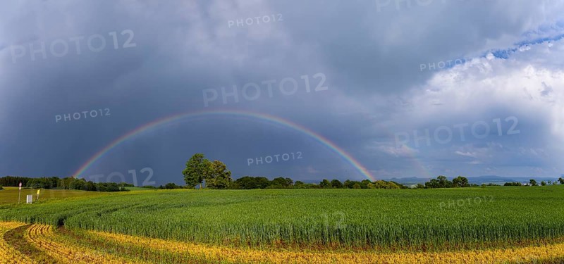 Storm on the Triebenberg near Dresden, Dresden, Saxony, Germany, Europe