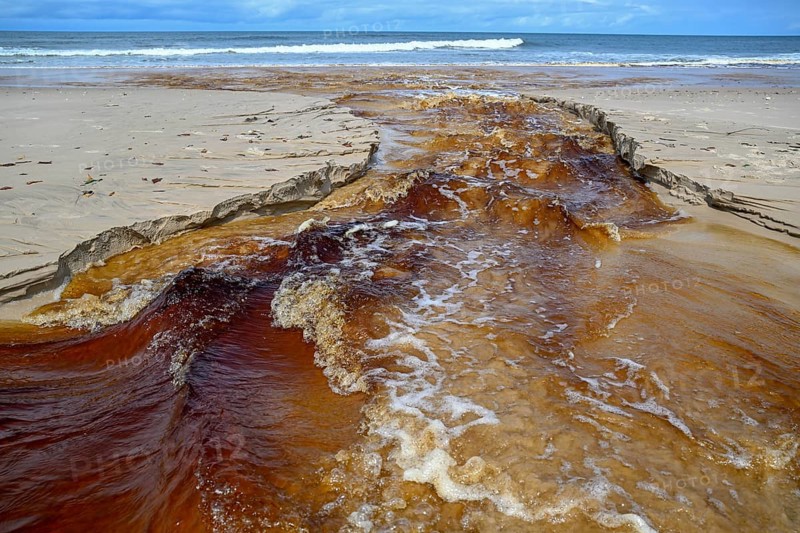 Tannic water from the Congo Basin flows into the Atlantic Ocean, Petit Loango, Loango National Park, Parc National de Loango, Ogooué-Maritime Province, Gabon, Africa