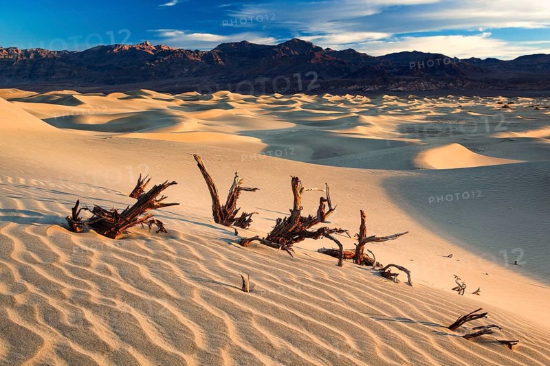 Mesquite Flats Sand Dunes, Sand Dunes, Death Valley National Park, California, USA, North America