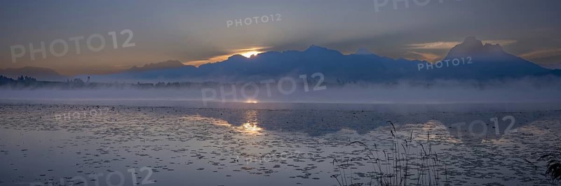 Sunrise at Lake Hopfensee near Füssen, behind Hopfen am See, the Tegelberg massif and the SÃ¤uling, OstallgÃ¤u, AllgÃ¤u, Upper Swabia, Swabia, Bavaria, Germany, Europe