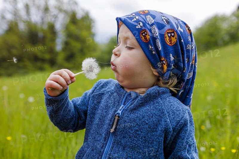Two year old child with dandelions, Murnau, 19.05.2023
