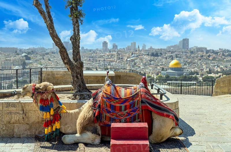 Jerusalem, Islamic shrine Dome of the Rock located in the Old City on Temple Mount