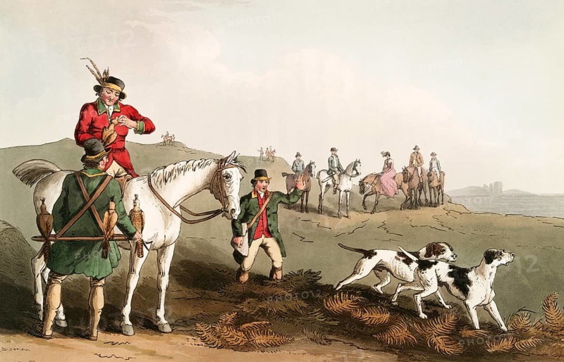 Scene from everyday life in England around 1810, falconry, hunter on horseback with hunting falcon and hunting dogs, historical, digitally restored reproduction from a 19th century original, date unknown