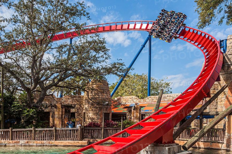 Park guests ride the SheiKra roller coaster at Busch Gardens theme park in Tampa, Florida, USA, North America