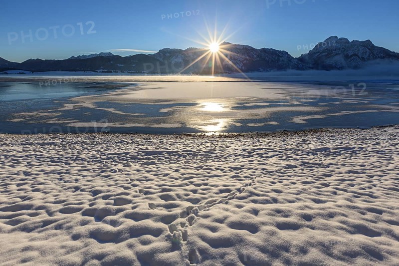 Sunrise at a lake in front of mountains, snow, winter, Forggensee, Königswinkel, view of Tegelberg and SÃ¤uli, Alpine foothills, Upper Bavaria, Bavaria, Germany, Europe