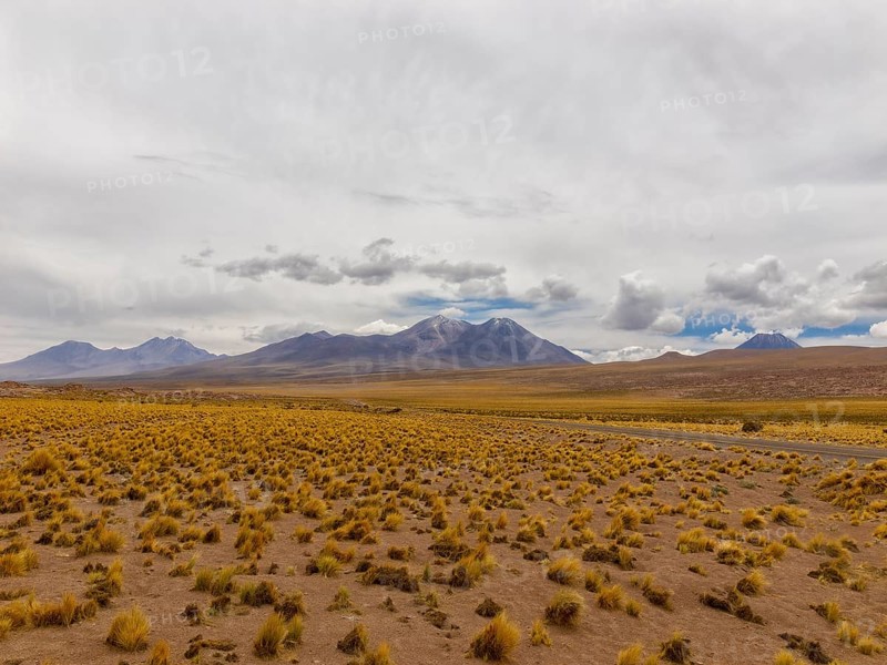 Atacama Desert with yellow tufts of grass, volcanoes and mountains, Chile, South America