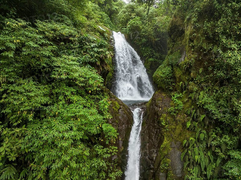 Aerial view, waterfall in the rainforest, Catarata de la Paz, La Paz Waterfall Gardens Nature Park, Alajuela Province, Costa Rica, Central America