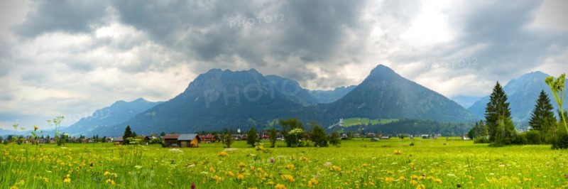 Loretto meadows near Oberstdorf, behind Oberstdorf and the AllgÃ¤u Alps, AllgÃ¤u, Bavaria, Germany, Europe