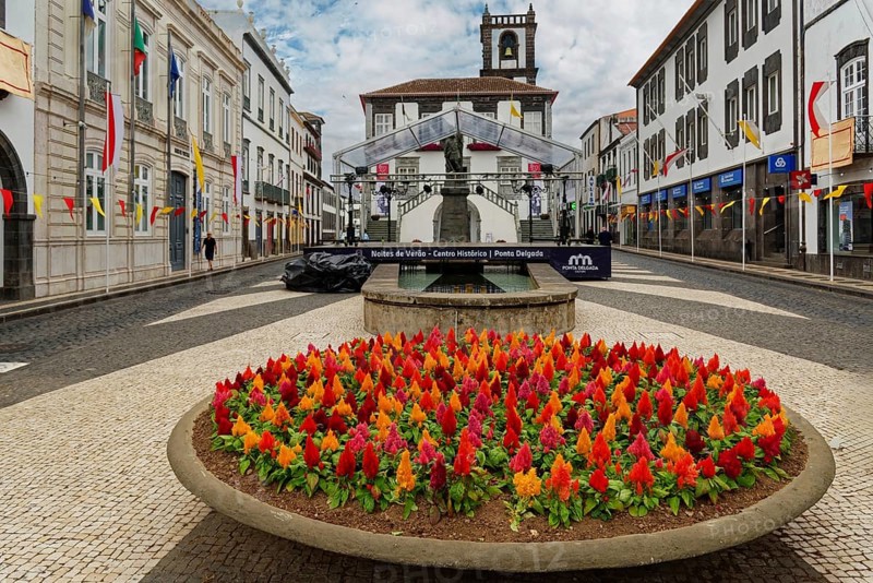Colourful flowerbeds in a circular flowerbed in a cobbled street, surrounded by historic buildings decorated with flags, Ponta Delgada, Sao Miguel Island, Azores, Portugal, Europe