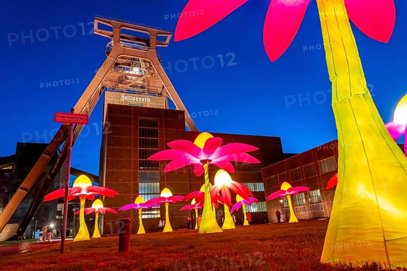 Celebrations to mark the 25th anniversary of the Route of Industrial Heritage in the Ruhr region, festivals lasting several days, highlight is the Extraschicht, the long night of industrial heritage, here Illuminating flowers at the Zeche Zollverein in Essen, double trestle winding tower shaft 12, North Rhine-Westphalia, Germany, Europe