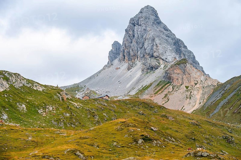 Summit of the GroÃŸer Kinigat, Carnic Main Ridge, Carnic High Trail, Carnic Alps, Carinthia, Austria, Europe