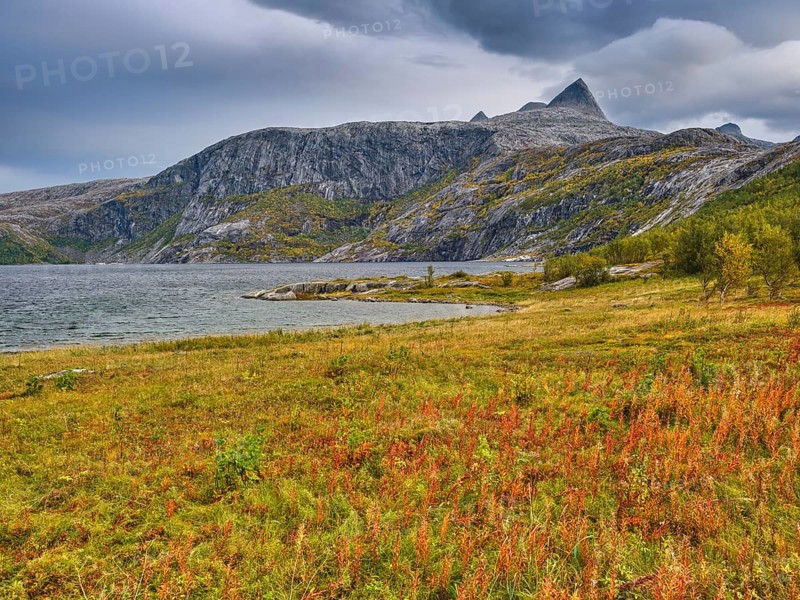 On the road along the Helgeland coast in autumn, view of Per Karlsatind, Ã…selistraumen, Saltfjorden, Bodo, Nordland, Norway, Europe