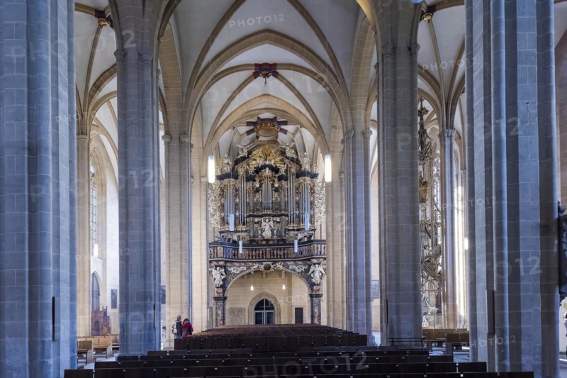 Church of St, Severi Erfurt, main organ, Erfurt, Thuringia, Germany, Europe