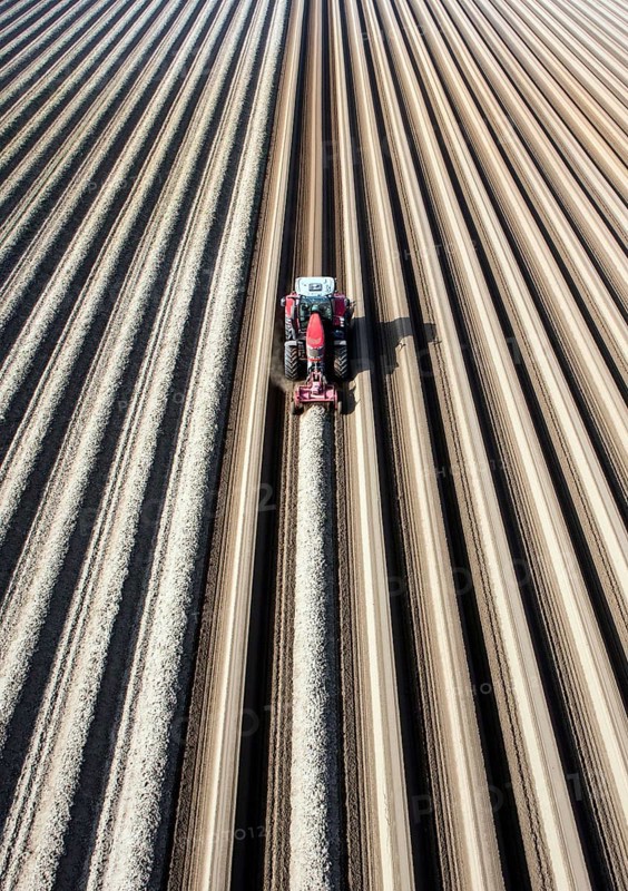 An aerial photo shows a tractor in a large asparagus field. Preparations for the asparagus season. The soil is loosened with a tiller at the front of the tractor, the rear tiller of the tractor creates the typical asparagus mound, Klaistow, Germany, Europe
