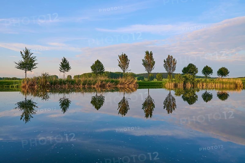 Lake in spring with row of trees and reflection, Drei Gleichen, Ilm-Kreis, Thuringia, Germany, Europe