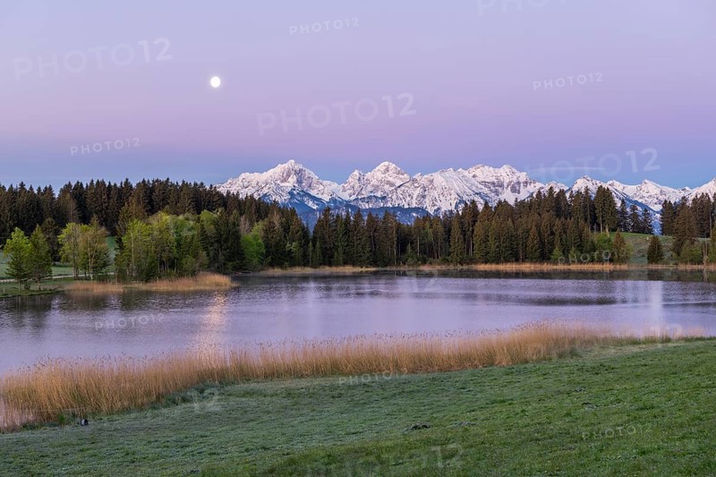 Hegratsrieder See near Füssen, AllgÃ¤u Alps, snow, moon, dawn, AllgÃ¤u, Bavaria, Germany, Europe
