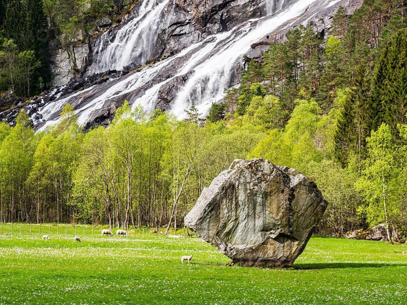 Single large rock Oddmundsteinen on farmland, waterfall in the back, greasing sheep, spring, south of Odda at the Hardangerfjord, Hardanger, Norway, Europe
