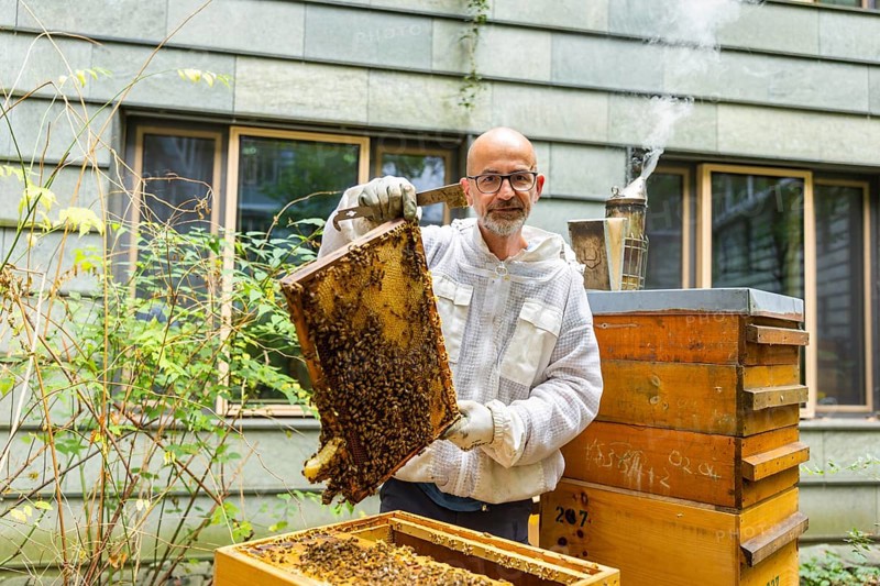 Jens Ardelt hiving a beehive. Since the beginning of 2023, 500, 000 new employees have been working in the Saxon Ministry of Labour: Eight bee colonies have been busily collecting nectar for honey ever since. Beekeeper Rico Heinzig (MyHoney GmbH from MeiÃŸen) has been known throughout Germany since his legal dispute with satirist Jan Böhmermann. MyHoney currently looks after over 200 bee colonies. In 2022, the organic beekeeping business received the international London Money Award in Gold, beekeeper at the Saxon Ministry of Labour, Dresden, Saxony, Germany, Europe