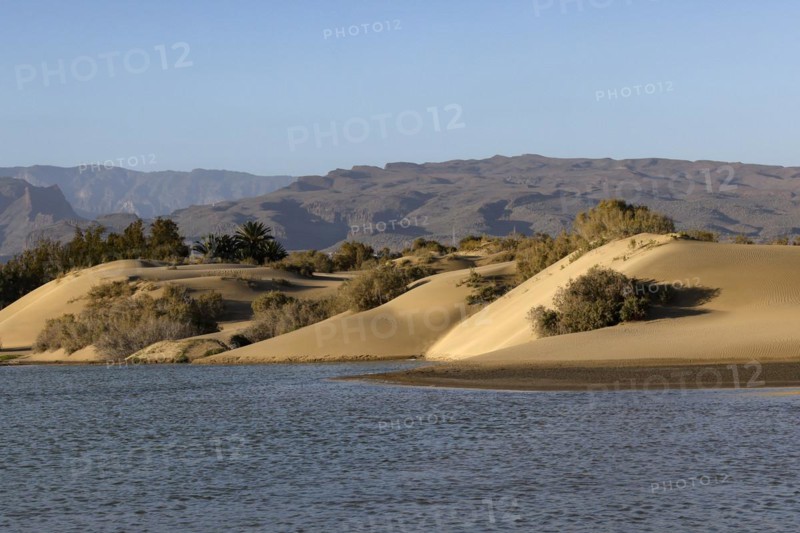 Nature reserve Dunes of Maspalomas, small lagoon La Charca de Maspalomas and sand dunes in the evening light, Province of Las Palmas, Gran Canaria, Canary Islands, Spain, Europe