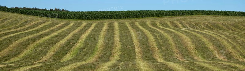 Agriculture, field, harvested, cut, structure, maize field, sky, Wental, BarholomÃ¤, Swabian Alb, Baden-Württemberg, Germany, Europe