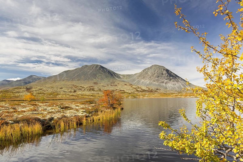 Stygghoin, Stygghoin mountain range in autumn at Doraldalen, Rondane National Park, Innlandet, Oppland, Norway, Europe