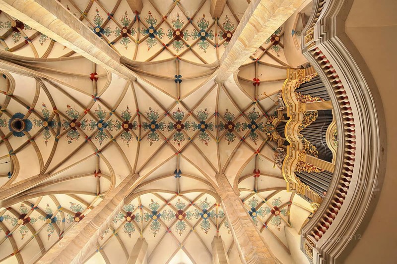 View upwards to the Gottfried Silbermann organ and ceiling vault in St. Mary's Cathedral, perspective, Romanesque, interior view, gallery, Silbermann organ, Freiberg, Saxony, Germany, Europe
