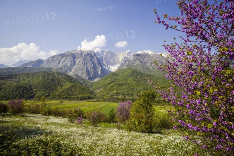 Valley of the Vjosa, the Vjosë is one of the few larger natural rivers in Europe, National Park Wild River Vjosa, Përmet, Qark Gjirokastra, Albania, Europe