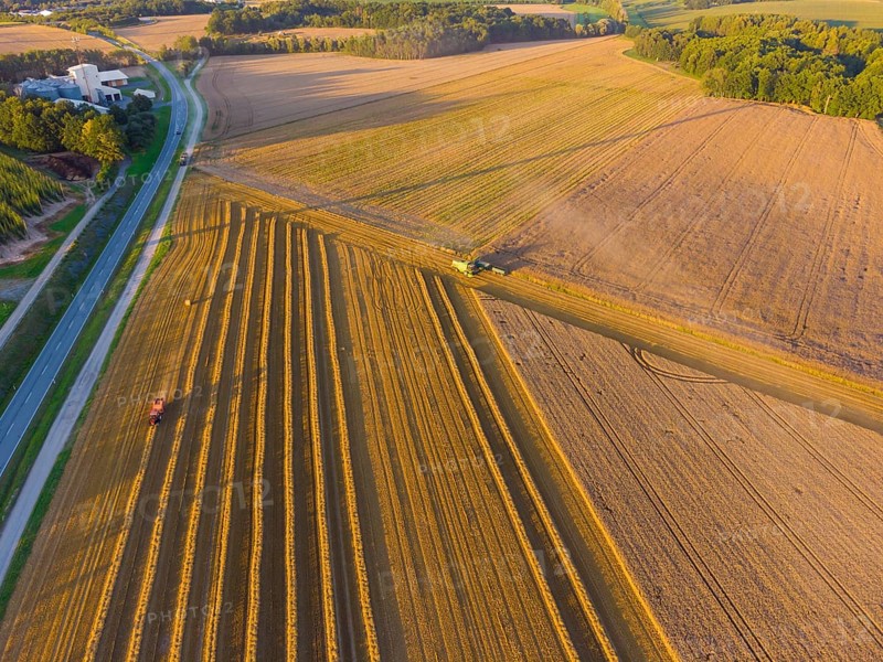 Fields of ABK Agrarbetriebsgesellschaft mbH Kriepitz