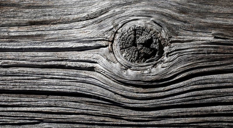 Old weathered wooden plank with knothole on a wooden wall, Upper Austria, Austria, Europe