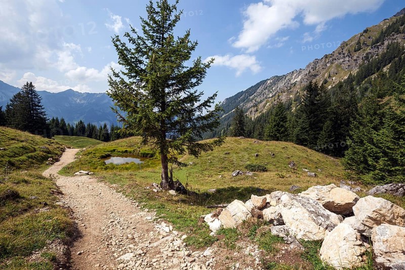 Jubilee trail in the mountain landscape of the AllgÃ¤u Alps, near Willersalpe, near Hinterstein, Bad Hindelang, OberallgÃ¤u, AllgÃ¤u, Bavaria, Germany, Europe