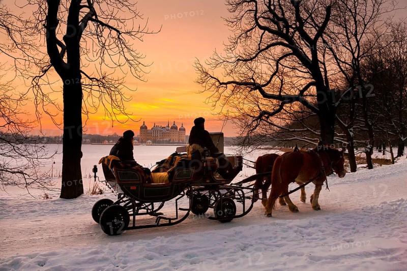 Horse-drawn sleigh ride at Moritzburg Castle