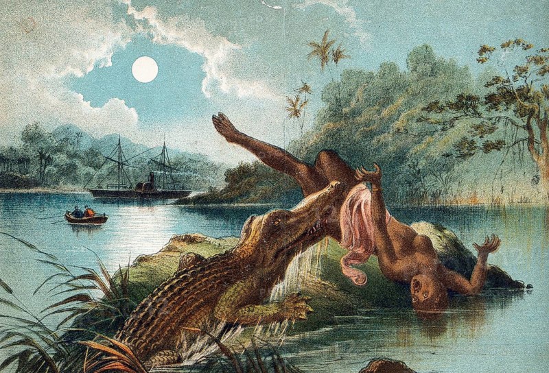 A crocodile emerging from the Zambezi River and biting off a woman's leg. The woman is taken by surprise and falls backwards off the stone in the water on which she was standing. An episode in the Zambezi River described by David Livingstone, circa 1850, Historical, digitally restored reproduction from an original of the time